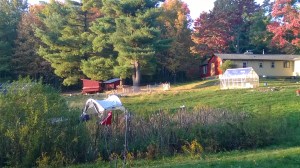 Windows Phone_20141006_012